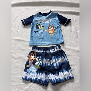 Bluey 2-pc. Rash Guard and Swim Trunks Swimsuit Set